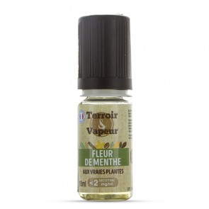 FLEUR DE MENTHE 10ML TERROIR ET VAPEUR