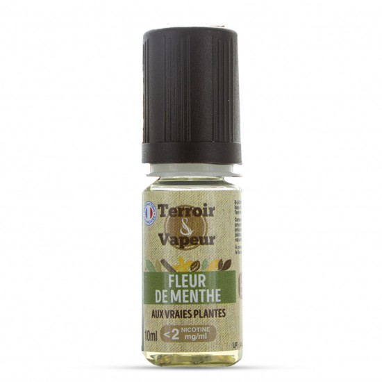 FLEUR DE MENTHE 10ML TERROIR ET VAPEUR