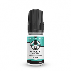 ICE MINT SEL DE NICOTINE 10ML SALT E-VAPOR