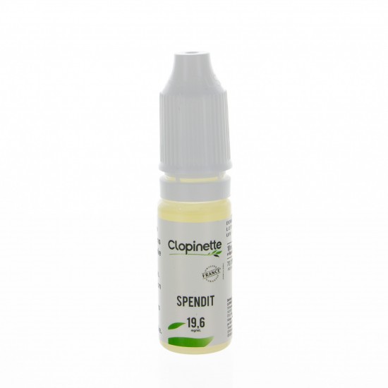 Spendit